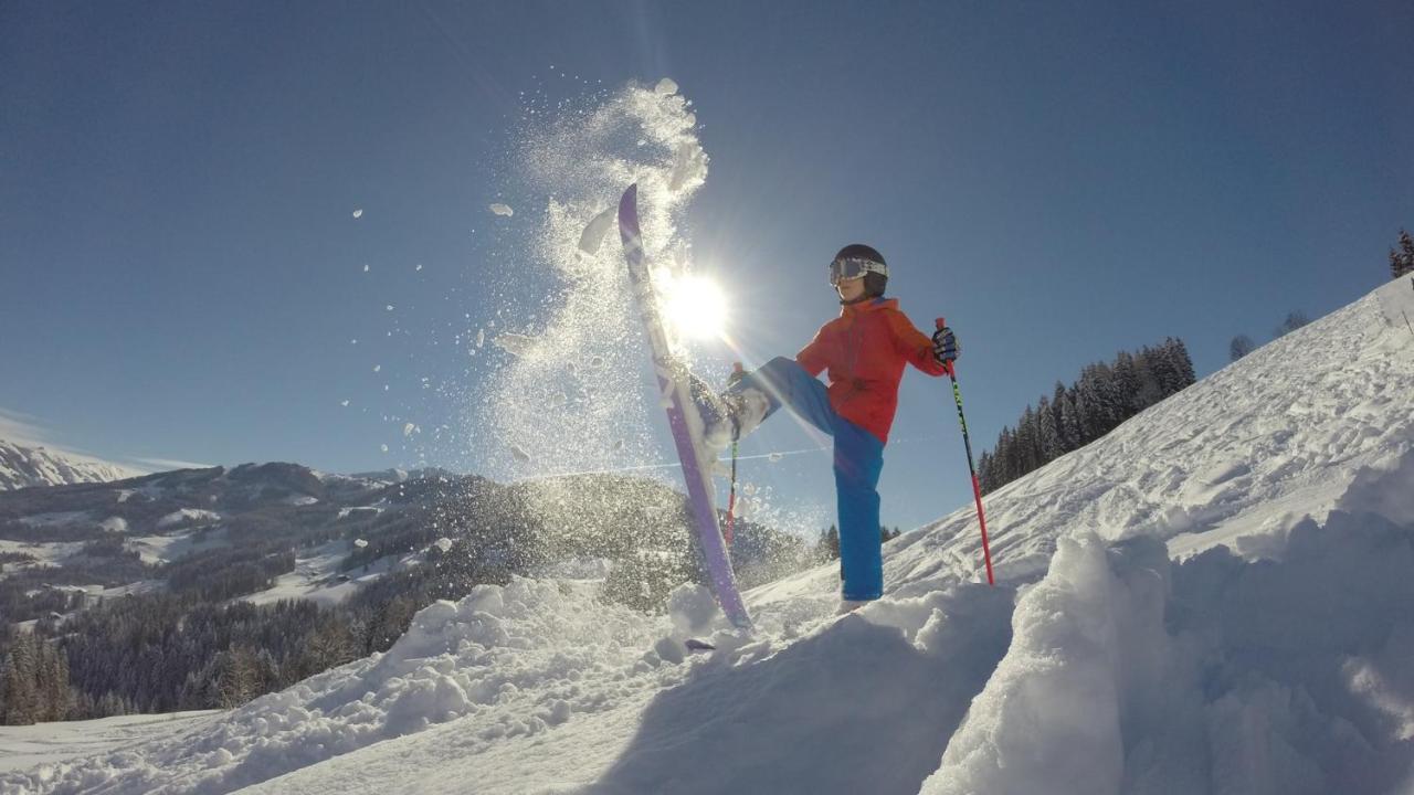 Pension Alpina Reith im Alpbachtal Dış mekan fotoğraf